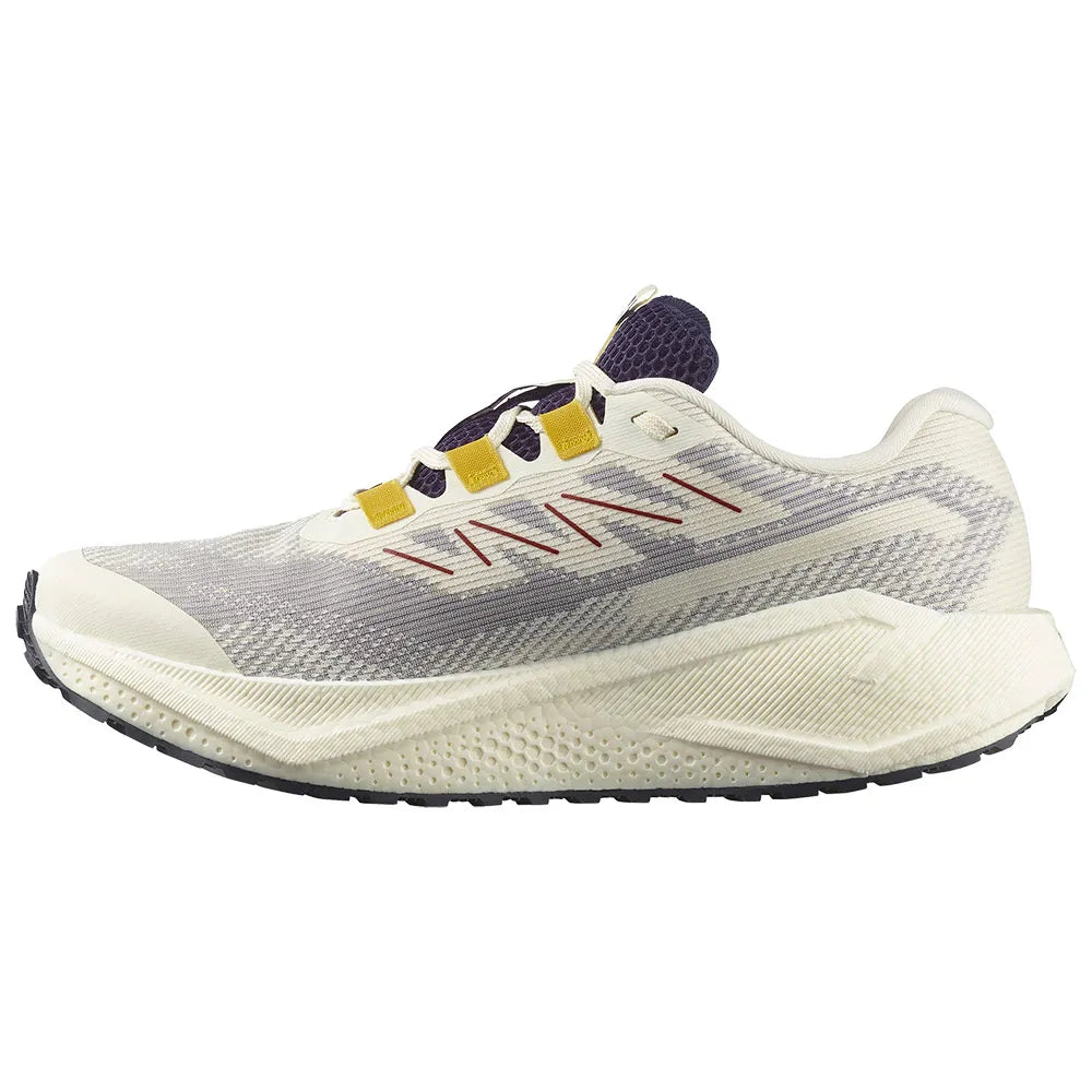 Salomon Aero Blaze 3 Gravel GTX Vanilla Ice - Scarpa Running Impermeabile