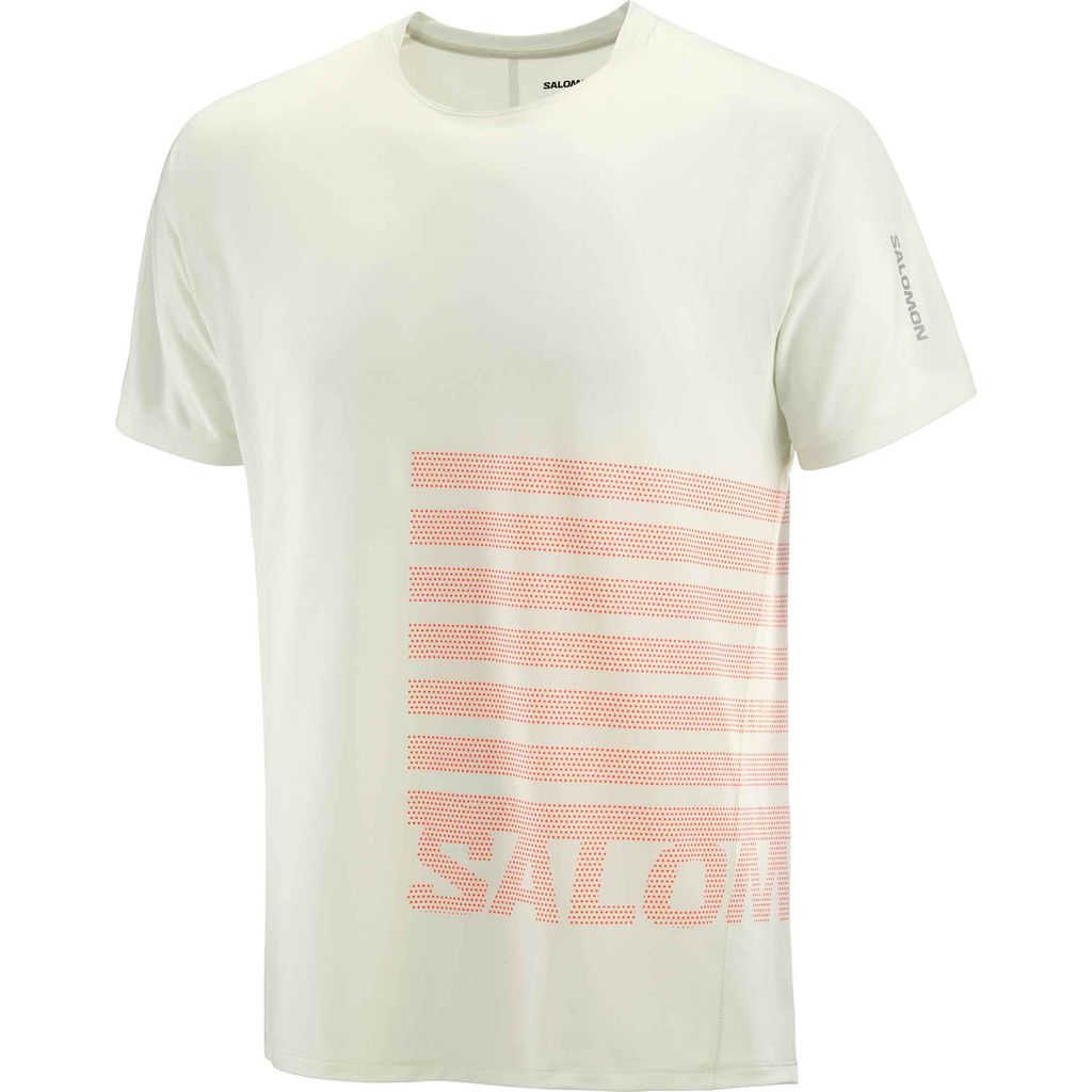Salomon Sense Aero SS Tee Gfx Icicle  - Maglia Running Uomo