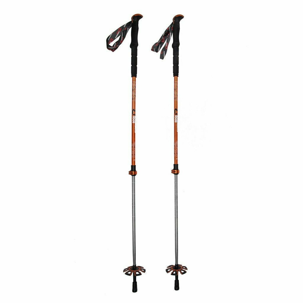 Rock Experience Powder Poles - Bastoncini Sci - Mud and Snow