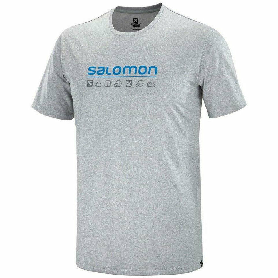 Salomon Agile Graphic Tee Alloy - Maglia Uomo - Mud and Snow